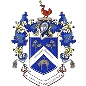 尼尔森